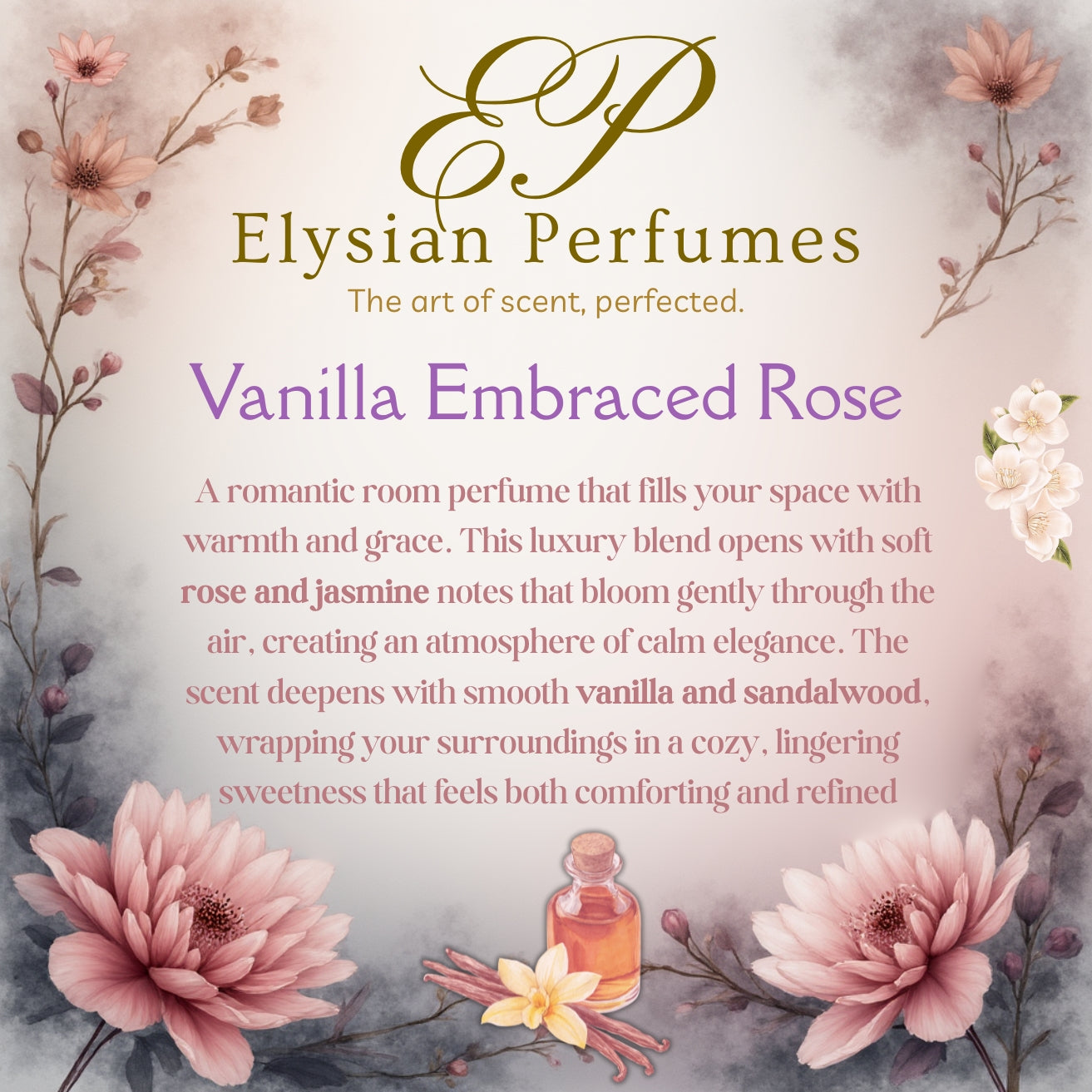 Vanilla Embraced Rose